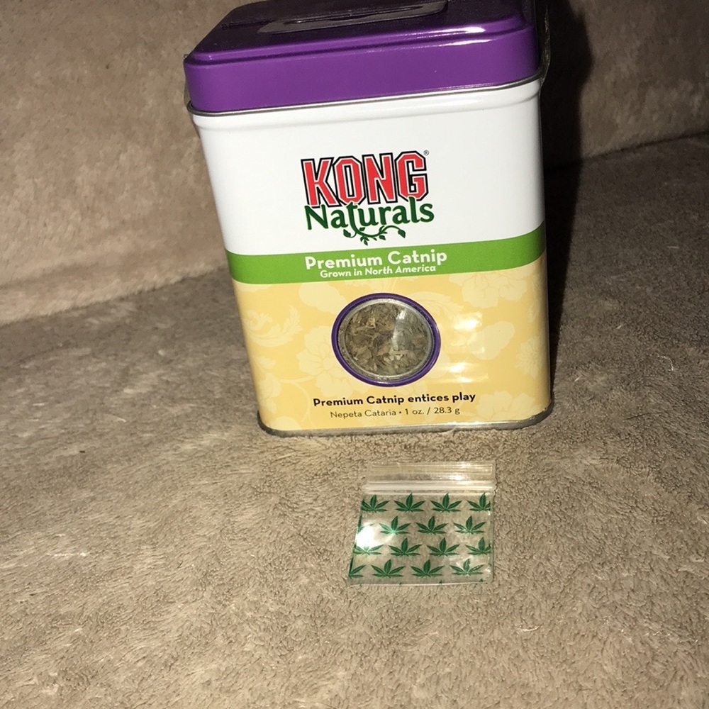 Red feather tailed rattle mouse 🐁 with catnip - Picture 4 of 5